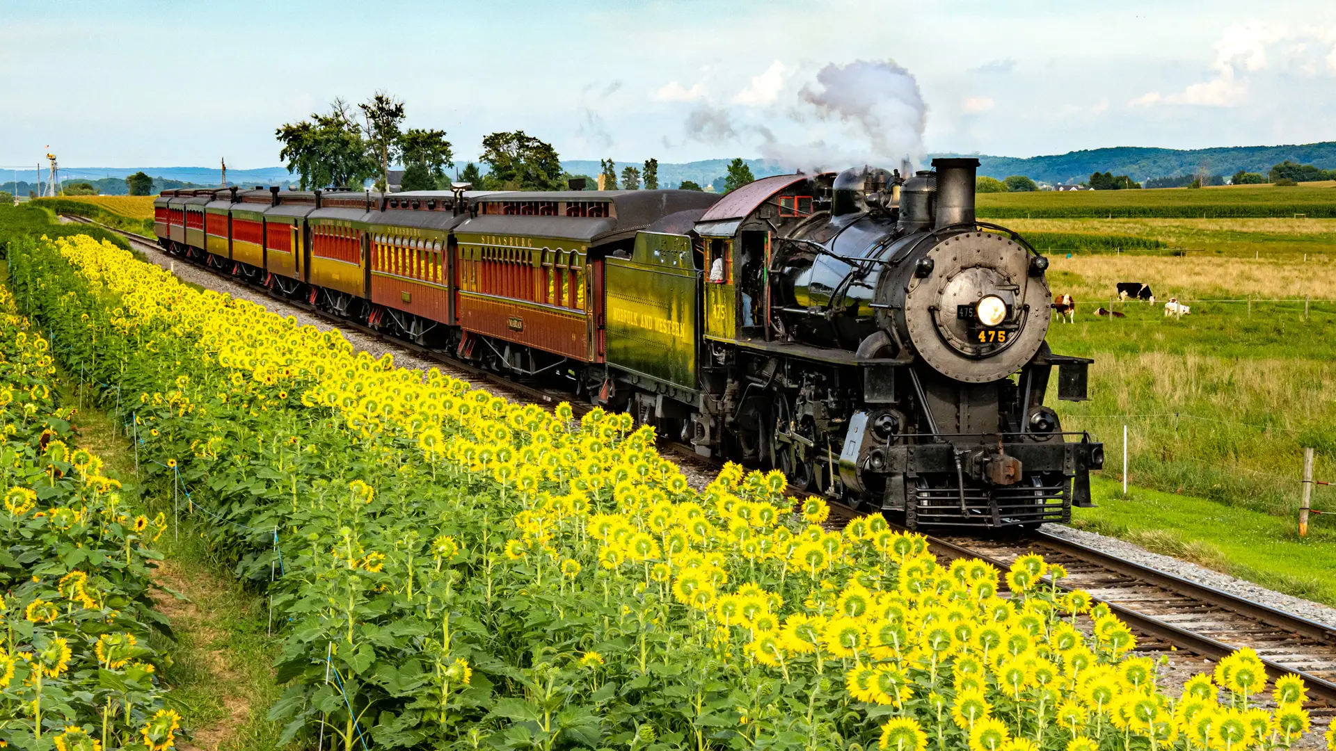 Daily Excursion Train